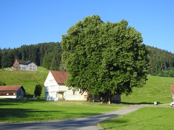 Kurt Haberstich
